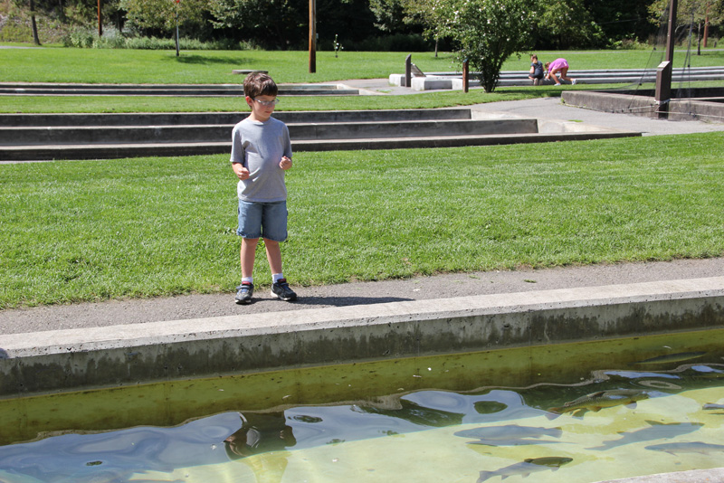 slideshow